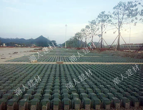 河池植草格